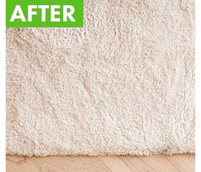 After Carpet Clean